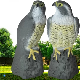 FalconGuard realisztikus, ülő madárriasztó sólyom, 40 cm magas