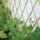 Bambusz összehajtható kerítés vagy növényfuttató, 45 x 180 cm