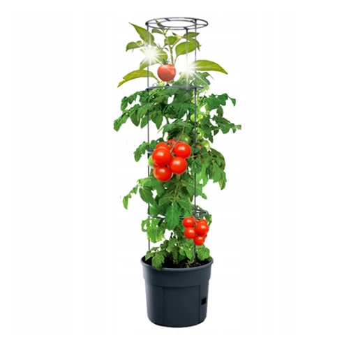 ProGarden Paradicsom ültető öntözőrendszerrel és támasztékkal,  40 x 132 cm