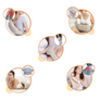 Kép 5/5 - Shiatsu masszírozó nyakra, testre és hátra