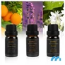 Kép 6/9 - XXL Automata ultrahangos,  párásító ionizációval és aromaterápiával + Távirányító, 5 L + 3 db olaj 