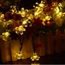 Kép 4/9 - Napelemes virág kerti  LED fényfüzér, meleg fehér, 20 LED-es
