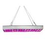 Kép 3/6 - 225 LED-es nagyméretű, vörös és kék színű lámpa palánták neveléséhez, 31 x 31 x 3,5 cm
