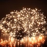 Kép 2/9 - 9,9 m-es 768 LED-es sűrű BOA fényfüzér, hálózati adapteres, meleg fehér, 8 világítási mód, időzíthető, IP44