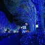 Kép 3/8 - 240 LED-es kültéri-beltéri dekor fényfüzér, hálózati adapteres, időzíthető 6/18 órás, 8 féle fényjátékkal, kék, 18 m, IP44