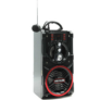 Kép 4/6 - BP Vezeték nélküli Bluetooth hangszóró rádióval és karaoke funkcióval, 90 W