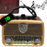 Kép 2/6 - Retro konyhai mobil rádió FM/AM/bluetooth/USB-s, akkumulátoros, pink, barna, vagy arany