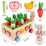 Kép 5/10 - Montessori Mágneses Puzzle Fa Kocka Válogató Kapd el a bogarat! Fa Répakocsi