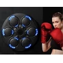 Kép 6/9 - Boksz 15 ügyességi szintes 6 pontos edző pajzs MMA zenélő USB-s + bokszkesztyűvel 14590
