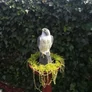 Kép 3/9 - FalconGuard realisztikus, ülő madárriasztó sólyom, 40 cm magas