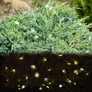 Kép 9/10 - SolarBloom 7 m-es napelemes virág kerti LED fényfüzér, meleg fehér, 50 LED-es