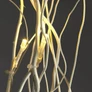 Kép 3/4 - 3
