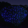 Kép 5/6 - 240 LED-es kültéri-beltéri dekor fényfüzér, kék, 18 m