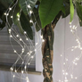 Kép 2/5 - 200 micro LED-es kültéri-beltéri fényfüggöny, hálózati, hideg fehér