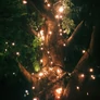 Kép 3/5 - 96 LED-es  kültéri-beltéri elemes fényfüzér, időzíthető 6/18 óra, 8 féle fényjátékkal, meleg fehér, 7 m