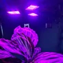 Kép 2/8 - 108 LED-es vörös és kék színű lámpa palánták neveléséhez, E27 lámpafoglalatba