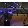 Kép 6/7 - 2 db 40 LED-es USB-s vörös és kék színű lámpa palánták neveléséhez, időzítővel