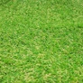 Kép 6/6 - GardenLine 500 x 100 cm x 7 mm-es műfüves szőnyeg