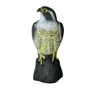 Kép 5/9 - FalconGuard realisztikus, ülő madárriasztó sólyom, 40 cm magas