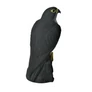 Kép 6/9 - FalconGuard realisztikus, ülő madárriasztó sólyom, 40 cm magas