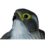 Kép 7/9 - FalconGuard realisztikus, ülő madárriasztó sólyom, 40 cm magas