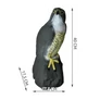 Kép 9/9 - FalconGuard realisztikus, ülő madárriasztó sólyom, 40 cm magas