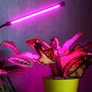 Kép 3/9 - 3 ágú LED-es USB-s vörös és kék színű lámpa palánták neveléséhez, 9 fényerősséggel, 30W, IP54