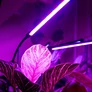 Kép 5/9 - 3 ágú LED-es USB-s vörös és kék színű lámpa palánták neveléséhez, 9 fényerősséggel, 30W, IP54