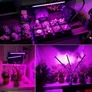 Kép 9/9 - 3 ágú LED-es USB-s vörös és kék színű lámpa palánták neveléséhez, 9 fényerősséggel, 30W, IP54