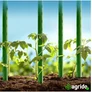 Kép 3/6 - GardenLine 10 db Paradicsomkaró – 120 cm hosszú zöld