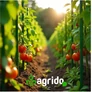 Kép 6/6 - GardenLine 10 db Paradicsomkaró – 120 cm hosszú zöld