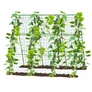 Kép 4/11 - JohnGreen Paradicsom nevelő növényfuttató állvány – 120 x 80 cm zöld rácsos hálóval 3 db X csatlakozóval