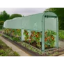 Kép 8/9 - GardenLine XXL palántázó paradicsom nevelő fóliasátor készlet felhajtható oldalfallal 3 × 1 × 2 m 130 g/m²
