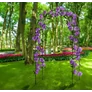 Kép 7/7 - GardenLine Rózsakapu rózsafuttató kerti kapu 240 x 140 cm