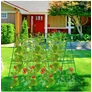 Kép 11/11 - JohnGreen Paradicsom nevelő növényfuttató állvány – 120 x 80 cm zöld rácsos hálóval 3 db X csatlakozóval