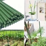 Kép 11/11 - 10 db Paradicsomkaró – masszív erős -11 mm, 150 cm hosszú, zöld RG