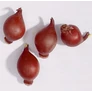 Kép 5/5 - 100 db-os Kapers Tulipán virághagyma - Van Tubergen'S Variety piros 7/8