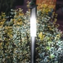 Kép 2/7 - 70 cm magas napelemes inox kerti lámpa LED világítással, Hideg fehér, 1 db 