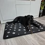 Kép 3/8 - Vízálló kutyaágy XXL – puha és kényelmes matrac, 100 x 70 cm 