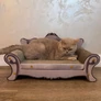 Kép 8/8 - NUXIE® karton macskakaparó ágy kanapé, 60cm
