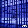 Kép 9/13 - MasterKiller Megbízható Erős Elektromos 2 csöves szúnyogirtó UV lámpa 30W 3800V