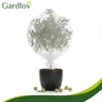 Kép 6/19 - Gardlov 3x6m protective net for flowerbed