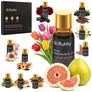 Kép 1/23 - Fragrance oil - set of 10 pcs. 10 ml Ruhhy 27222