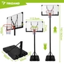 Kép 2/26 - Trizand 305cm Basketball Hoop