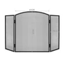 Kép 3/12 - Fireplace screen PK013