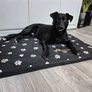 Kép 5/16 - Dog bed 100x70cm Purlov 24862