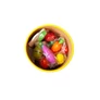 Kép 8/9 - Wooden chopping vegetables in a bucket