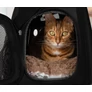 Kép 12/15 - Carrier - bag for dog/cat - black
