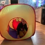 Kép 8/14 - Kruzzel 23871 3in1 Children's Tent