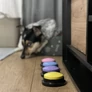 Kép 8/10 - Animal Sound Buttons Purlov 24615